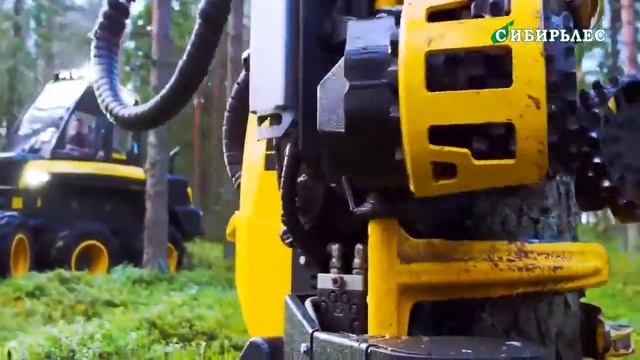 Сиблес презентация смотреть онлайн