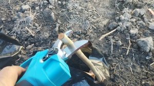 секатор аккумуляторный