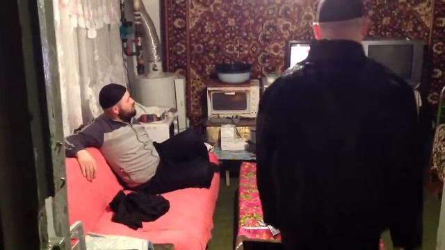 Нерпа смотреть онлайн