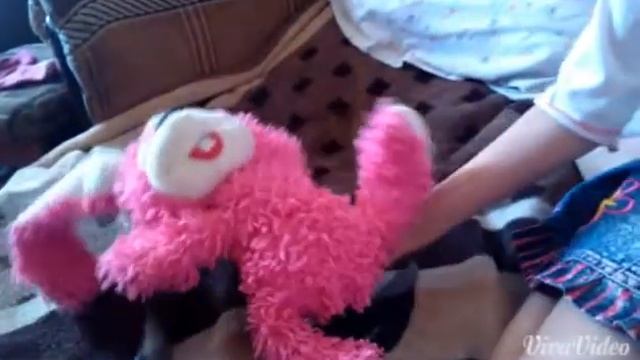 Бешенный кролик ( 3) смотреть онлайн