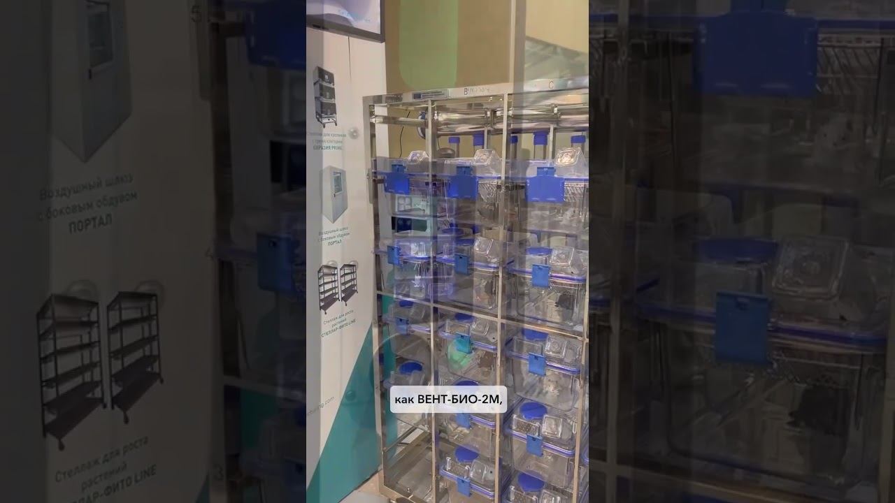 Отчет с выставки Rus-Lasa 2025