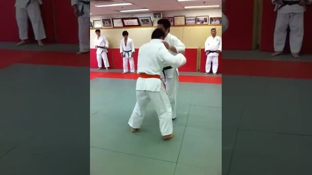 07/30/2011 Instructions: Iwami-Sensei Yamashita Review ... смотреть онлайн