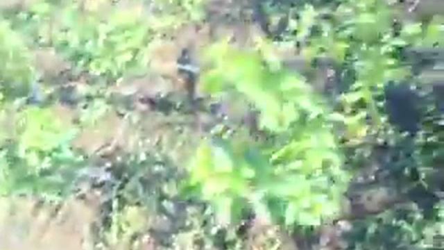 22.07.открывание. смотреть онлайн