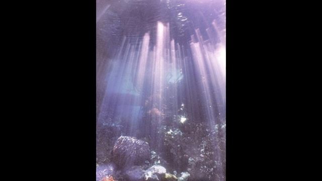 sophie - l.o.v.e (sped up + reverb) смотреть онлайн