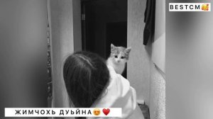 ЖИМЧОХЬ ДУЬЙНА😍🔥