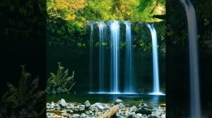 Сау бул инде. Татарча жыр.  Official