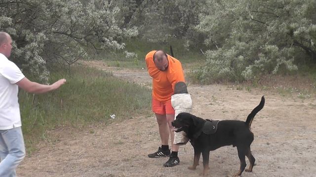 ЗКС 10,05,2014 7 смотреть онлайн