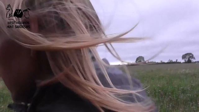 Badger persecution смотреть онлайн
