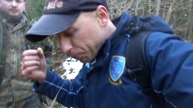 Їм сирі Гриби Саркоцифа. Водоспад Сопіт у Карпатах і перші весняні гриби. Наші Карпати. смотреть онлайн