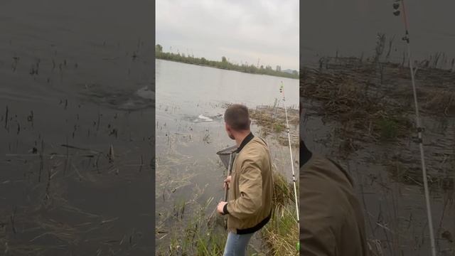 Щука 2.7кг. на червя! смотреть онлайн