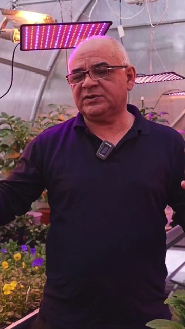 Почему огурцы могут горчить? 🥒 смотреть онлайн