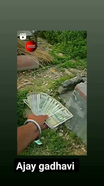 gav Wale 😎 смотреть онлайн