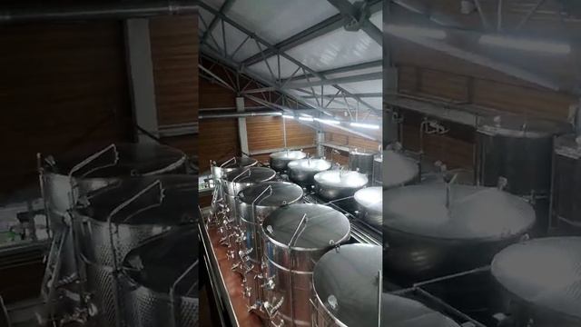 Новороссийск. Шато Пино. смотреть онлайн