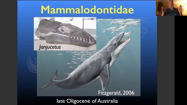 Where Did Whales Come From? смотреть онлайн