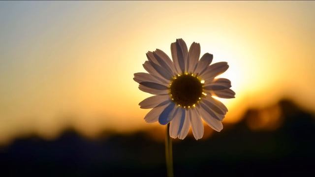 Subranger & Sundesire - Closer смотреть онлайн