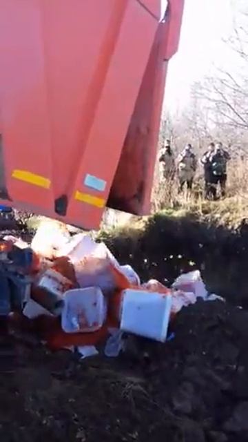 Ушла икра в помойку ) смотреть онлайн