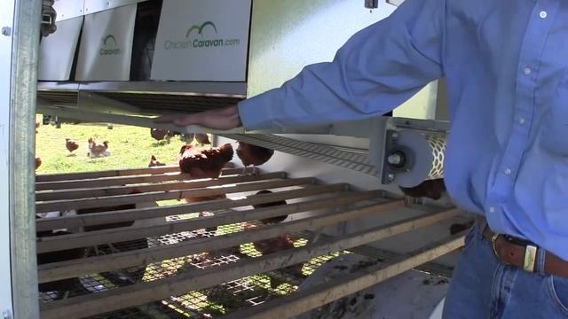 Portable Chicken house for 130 Chickens смотреть онлайн