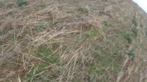 Коллективная охота на зайца в Крыму!!!