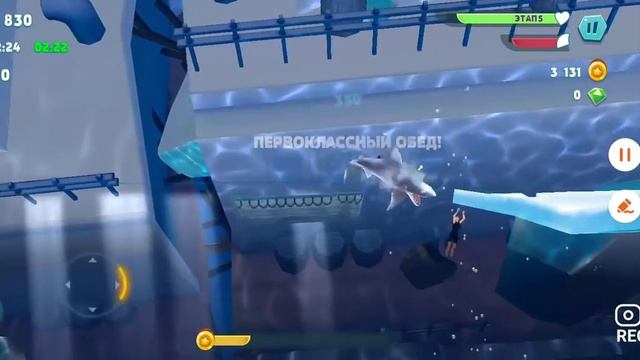 Играю в голодную акулу смотреть онлайн