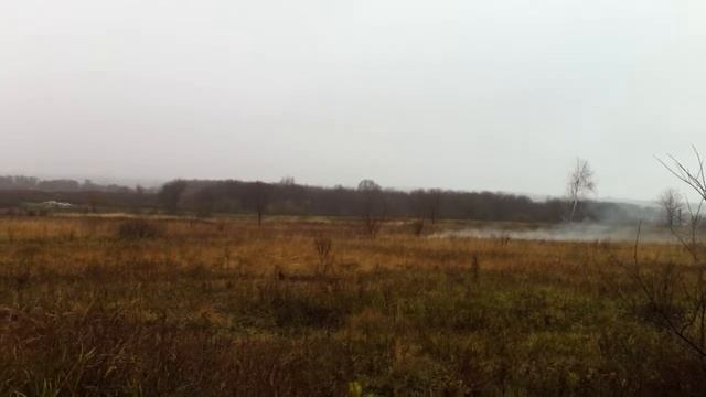 свист смотреть онлайн