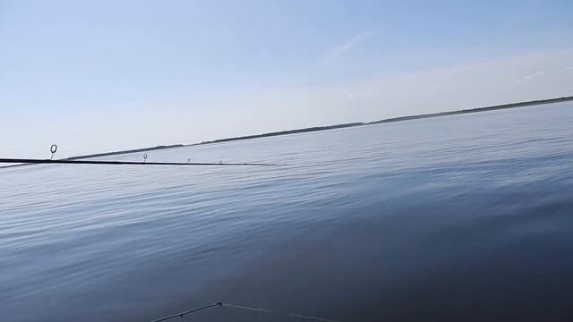 Ülol läks õnge havi, kes himustas Rapala shad rap särge aga viimasel sekundil смотреть онлайн