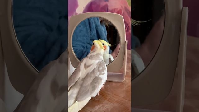 Хороший мальчик смотреть онлайн