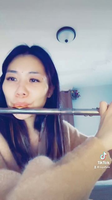 Promise of the world - Howl’s moving castle (flute cover) смотреть онлайн
