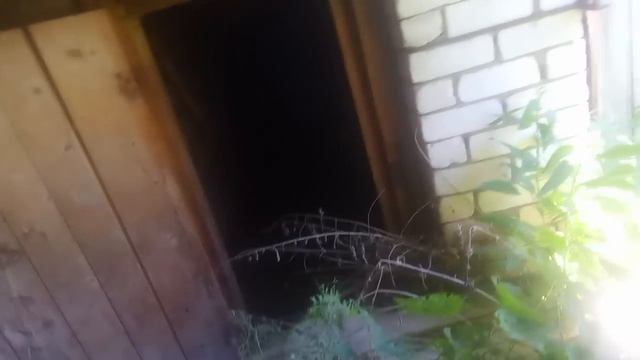 Купил дом рядом с Волгой в сосновом лесу. обзор смотреть онлайн