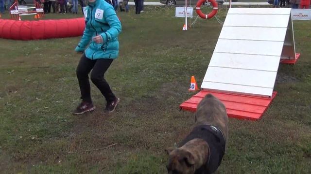 "О.Ш. 2014" Чигринец Валерия. смотреть онлайн