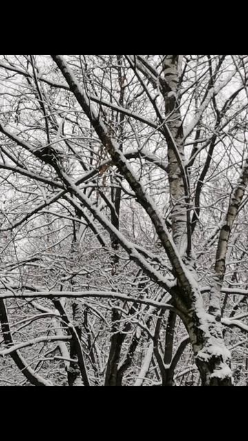 Волшебство снега. Стихи. Эстэр. смотреть онлайн