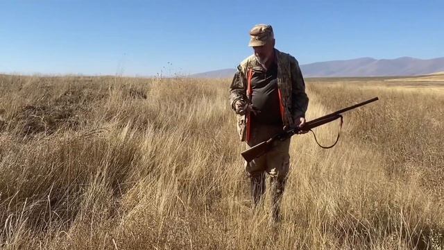 MİLO 😍VS 😍ÇILGIN 😘FANTASTİK FERMA APORTLAR (BILDIRCIN AVI)#keşfet #keşfetteyiz #youtubeshorts смотреть онлайн