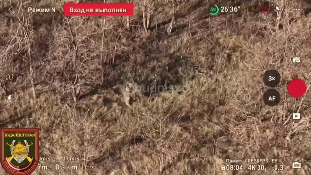 Сопровождают раненого военнослужащего ВСУ. Боец выбрал жизнь, а не смерть. смотреть онлайн