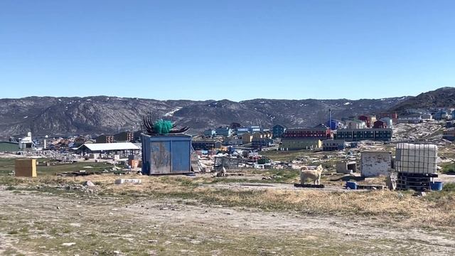 Greenlandic Sled Dogs, Ilulissat, Greenland