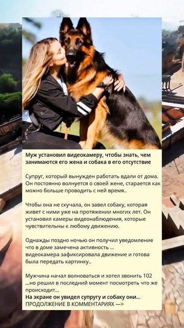 Муж установил видеокамеру, чтобы знать, чем занимаются его жена и собака в его отсутствие