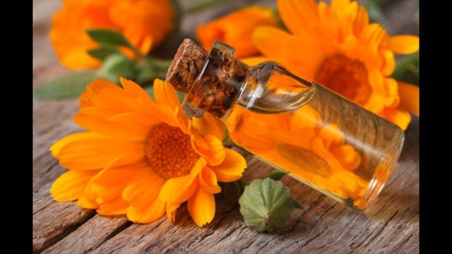 Польза мазей с календулой при кожных заболеваниях #кожныеболезни #календула #фитотерапия