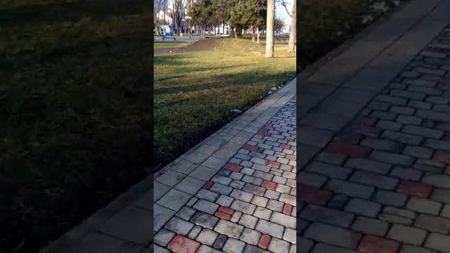Я в парке Аврора с Блум смотреть онлайн
