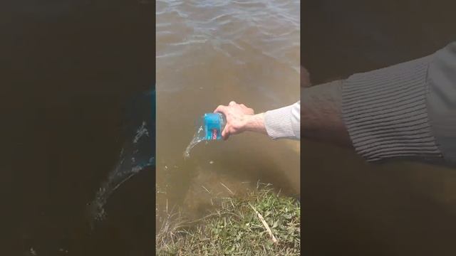 VID 20210428 132100349 смотреть онлайн