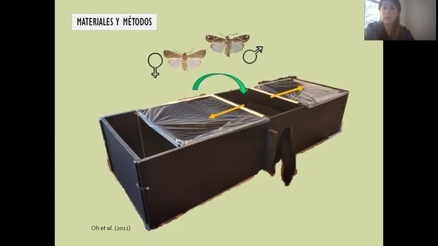 EAE / RBC 2021 – “Estudio comportamiento de atracción de Spodoptera frugiperda hacia luz LED blanca смотреть онлайн