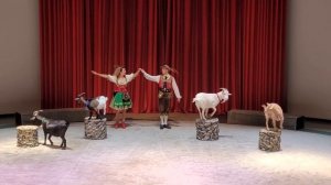 Уголок дедушки Дурова