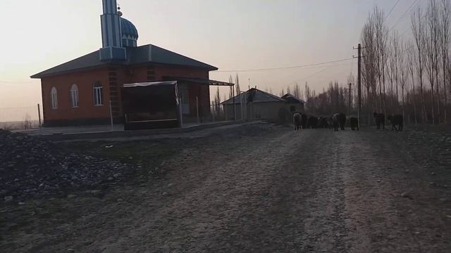 Бирдик айылым Мечитибиз смотреть онлайн