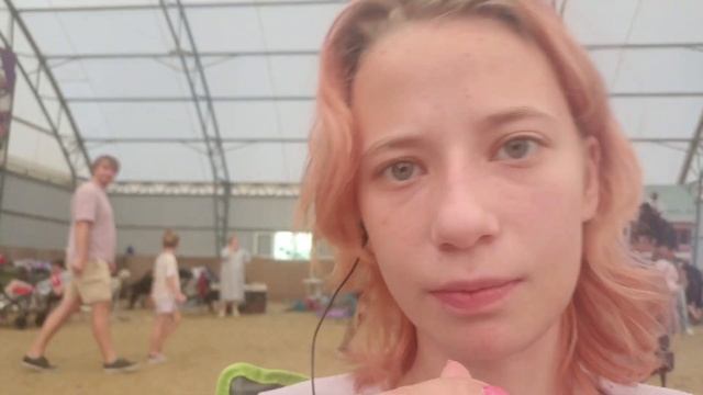 история о том как мы ездили на собачью выставку в Новороссийск ВЛОГ 🐶 смотреть онлайн