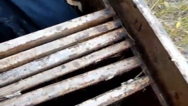 Заброшенный улей смотреть онлайн