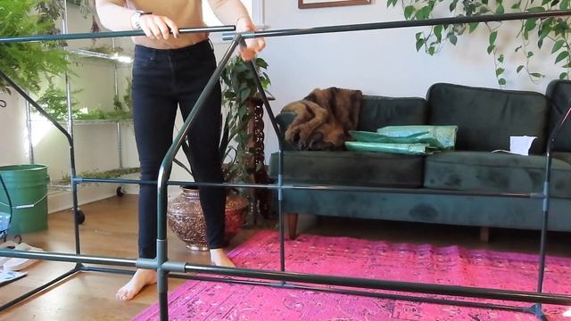 Using A Plastic Greenhouse To Overwinter My Plants | Container Gardening