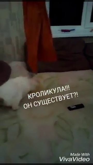 Кроликула смотреть онлайн