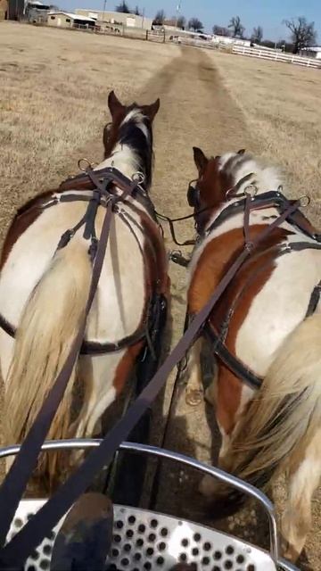 check out those cute and dirty pony butts! MY FAV смотреть онлайн