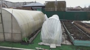 Райское тепло закончилось! ХОЛОДИНА! Обзор погоды и рассады в теплице 15 апреля 2025 года.