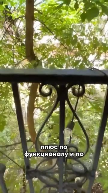 Французский балкон и распашные двери ❤️ #дизайнинтерьера смотреть онлайн