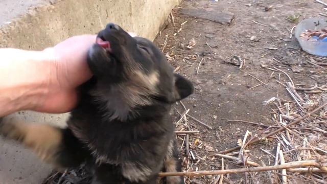Малыши! 29.04.22 смотреть онлайн