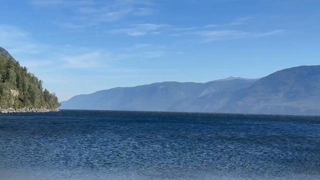 Видео от наших клиентов 12. смотреть онлайн