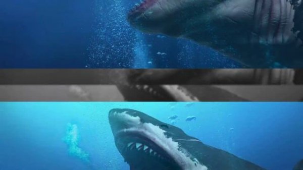 Megalodon-Largest shark in the world | సముద్రగర్భంలో అతిపెద్ద సొరచేప Megalodon | Info Geeks